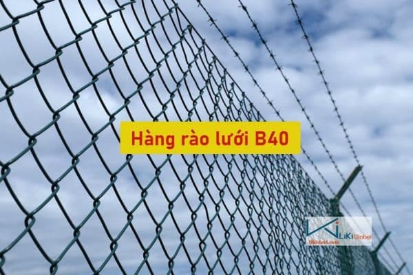 Tham khảo các mẫu hàng rào lưới B40 đẹp nhất hiện nay - Liên hệ ngay để được tư vấn