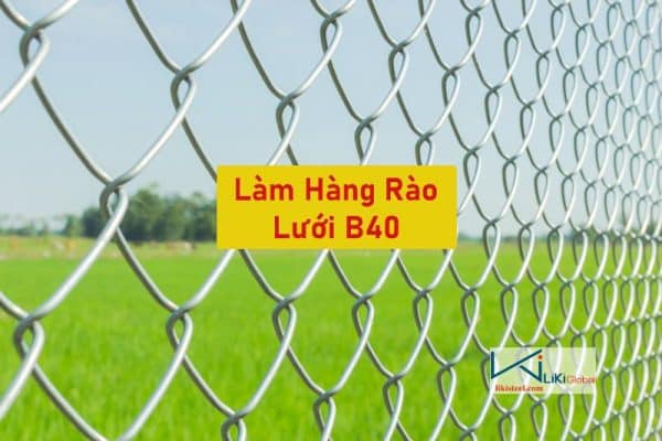 Hướng Dẫn Làm Hàng Rào Lưới B40 Đơn Giản, Tiết Kiệm Chi Phí